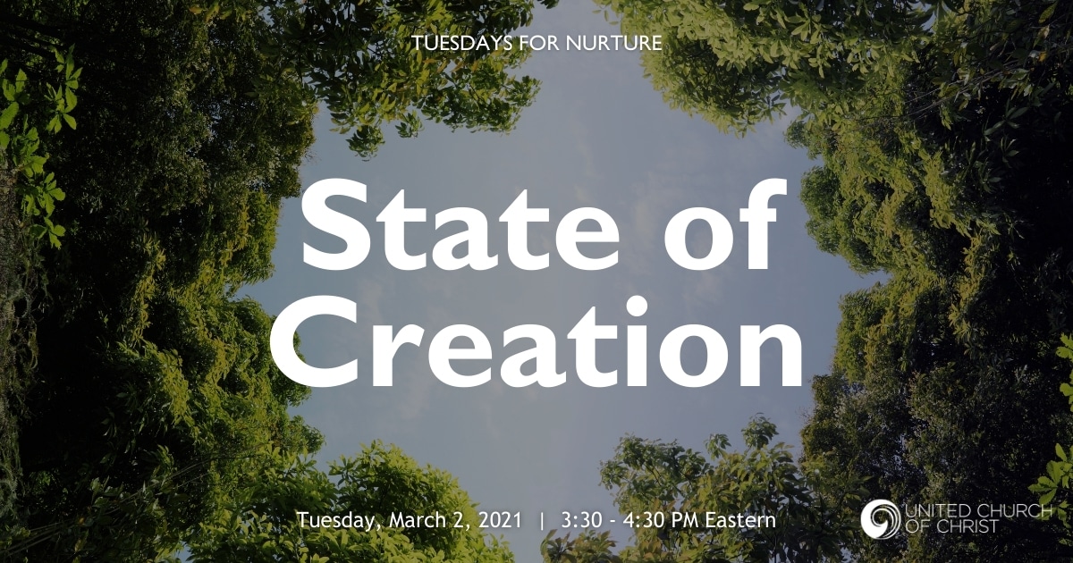 State of Creation Zoom Banner