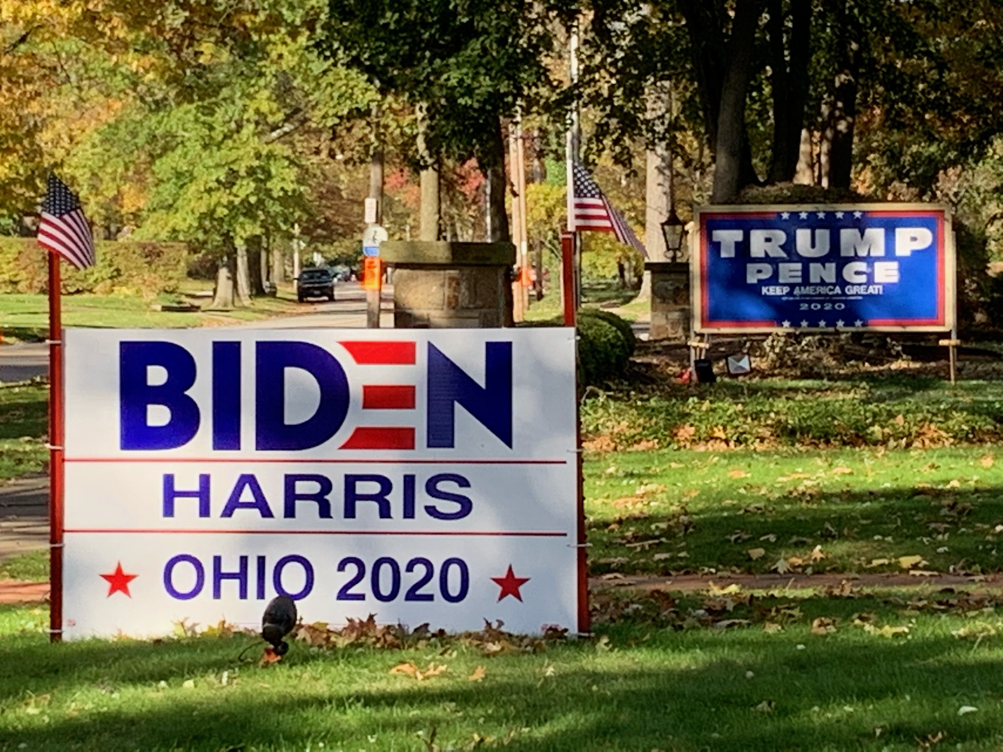 Campaign lawn signs, Cleveland, 11/3/20