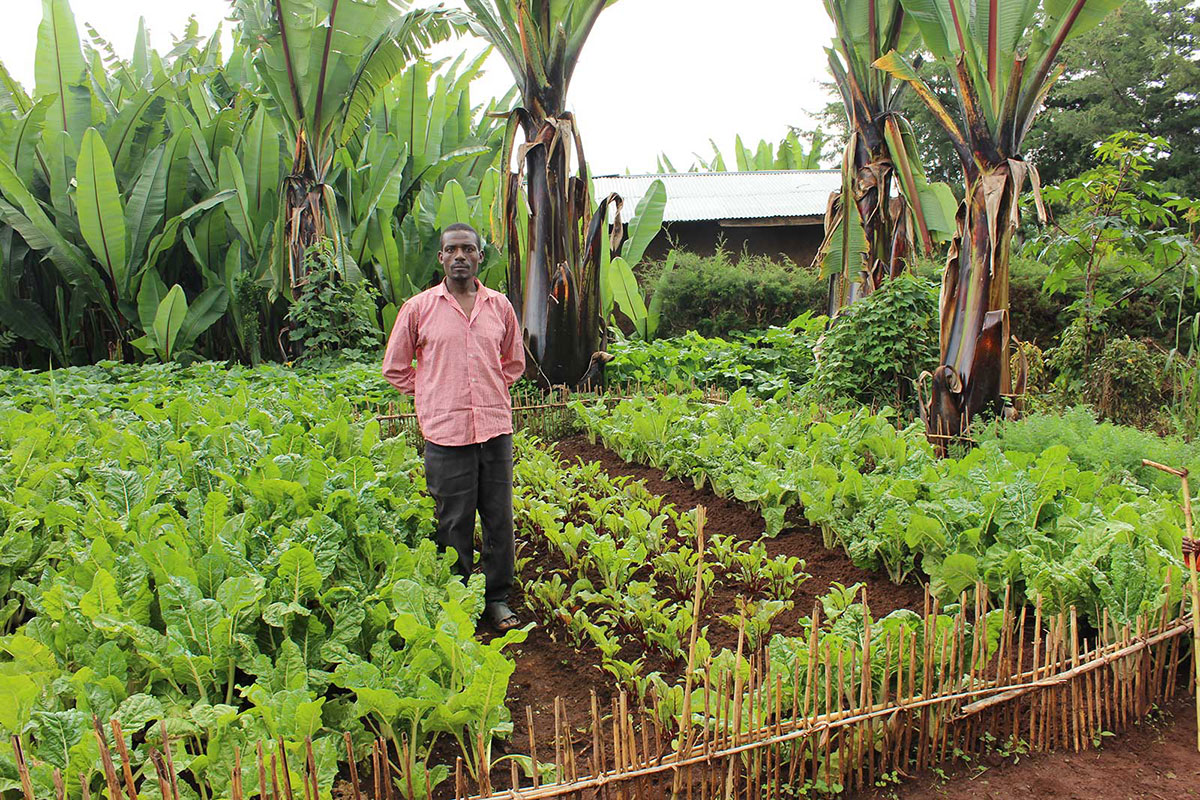 A_Farmer_in_Southern_Eqypt.jpg