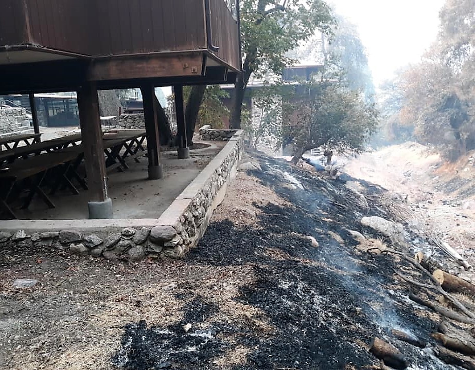 Pilgrim Pines fire line, 9/7/20