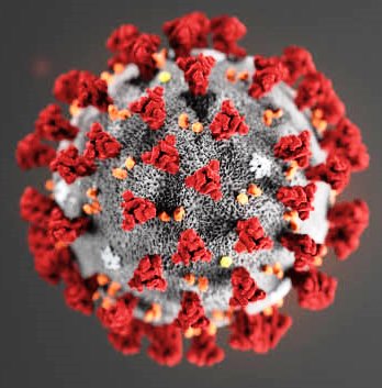 novel-coronavirus-cdccropped.jpg