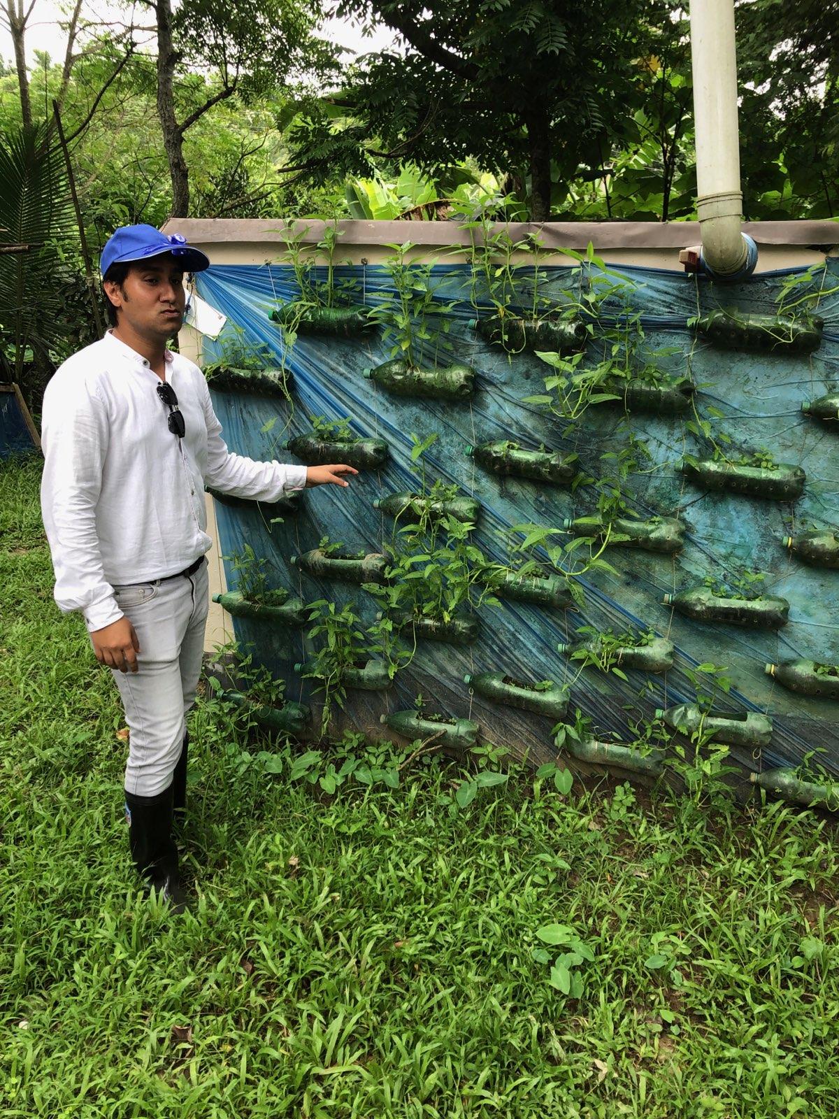 vertical_garden_bangladesh.jpg