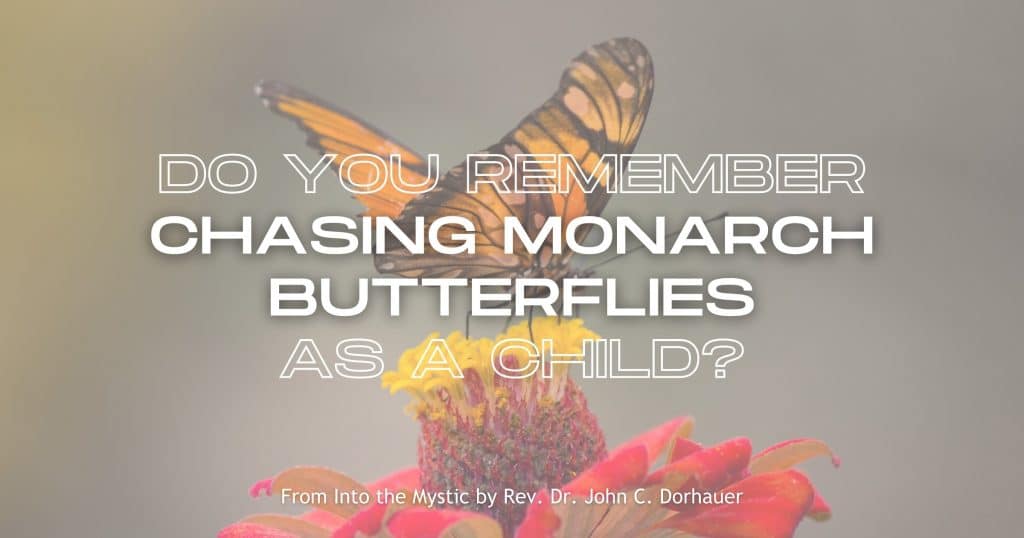 Picture of a monarch butterfly on a flower with the words: “Do you remember chasing monarch butterflies as a child?” From Into the Mystic by Rev. Dr. John C. Dorhauer