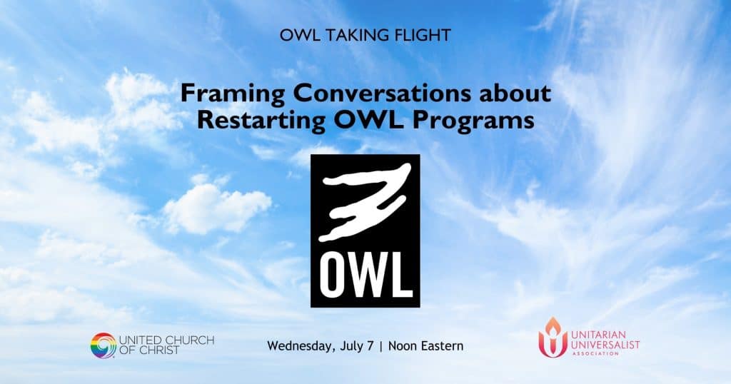 OWL-Taking-Flight-July-2021-WordPress