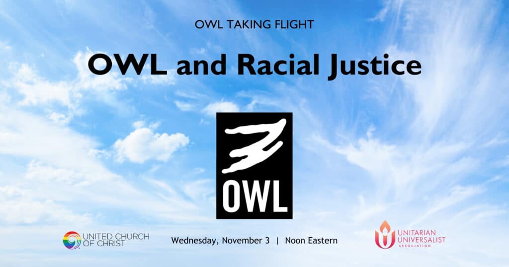OWL-Taking-Flight-November-2021