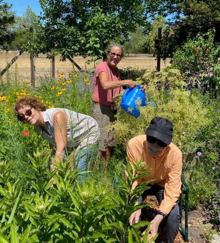 SonomaUCCbutterflygarden