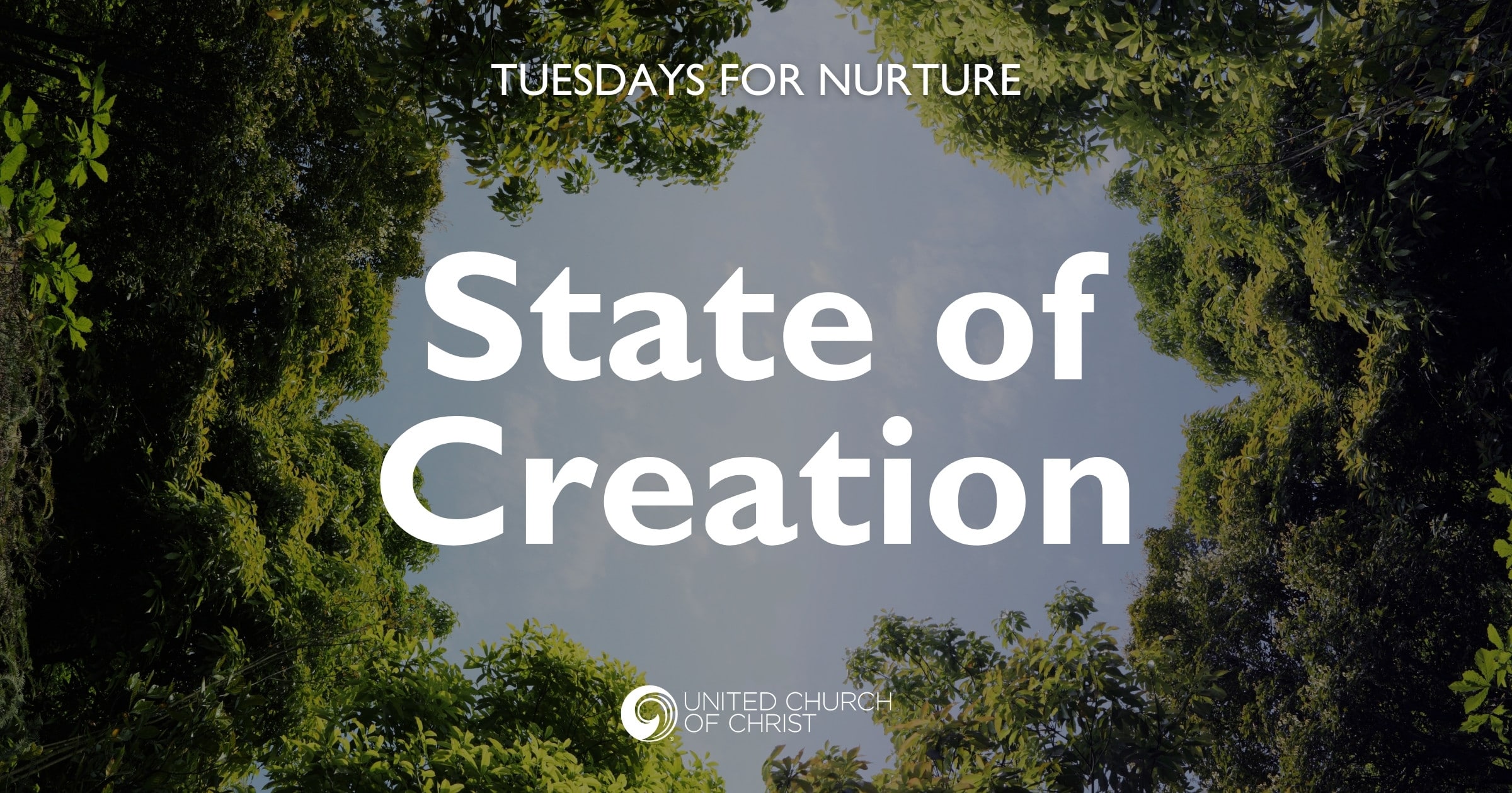 State of Creation WP-Promo