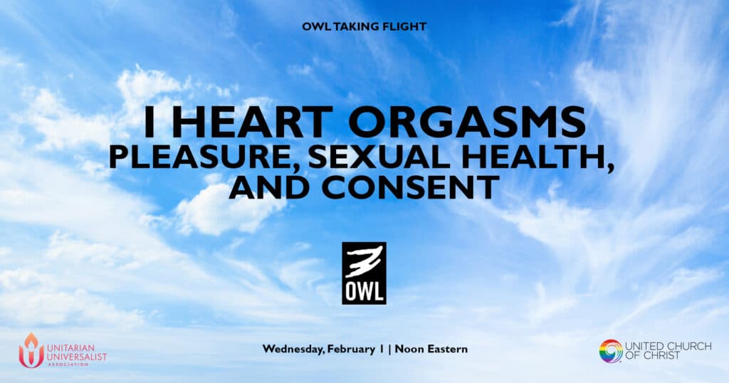OWLTakingFlight-Feb23