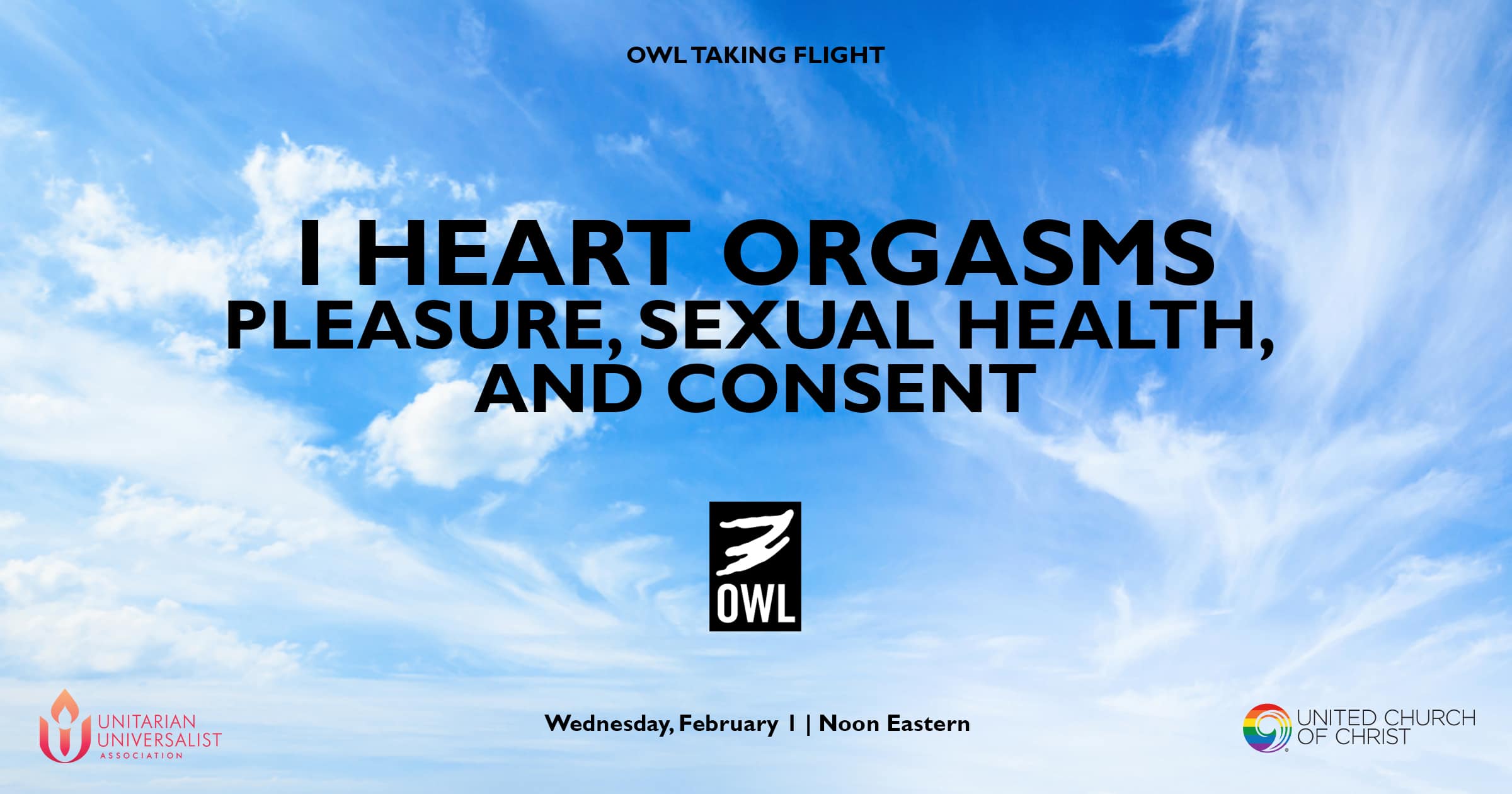 OWLTakingFlight-Feb23