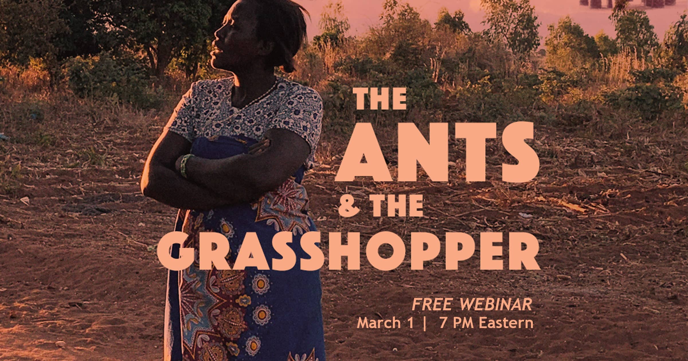 TheAntsandtheGrasshopper-CreationJustice