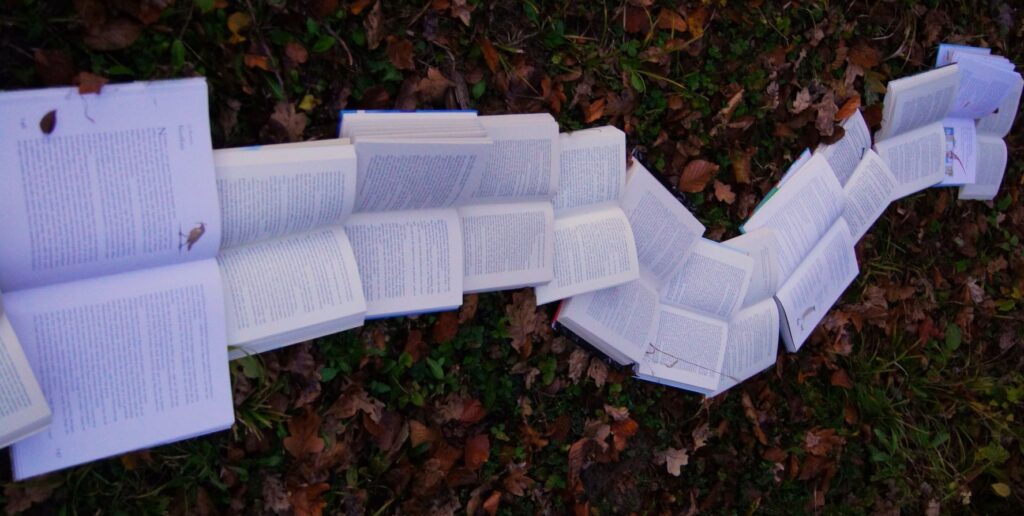 a path made of open books on fall leaves