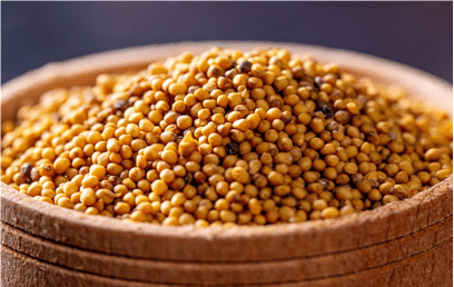 Mustard Seeds