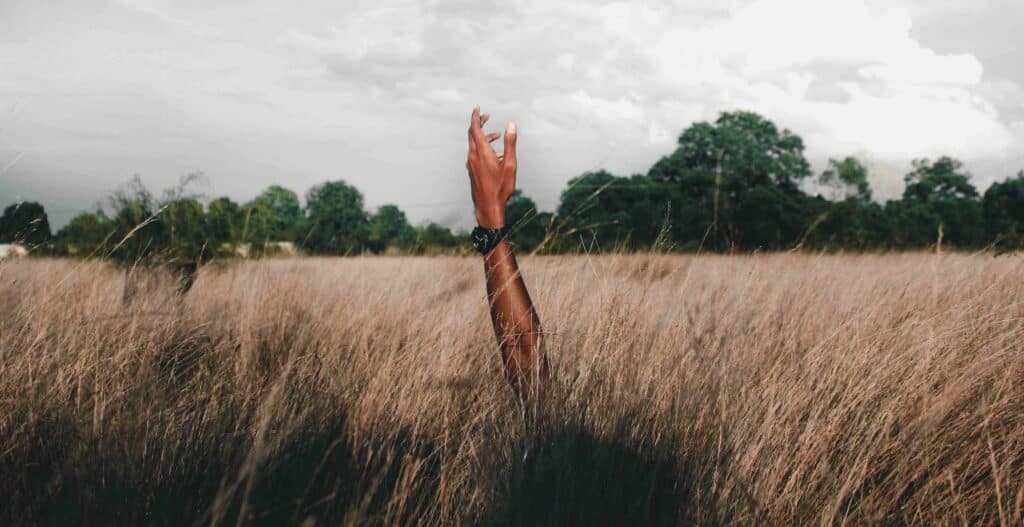 A hand and forearm wearing a wristwatch extend above tall, dry grass in an open field. Trees line the horizon in the background beneath a cloudy sky.