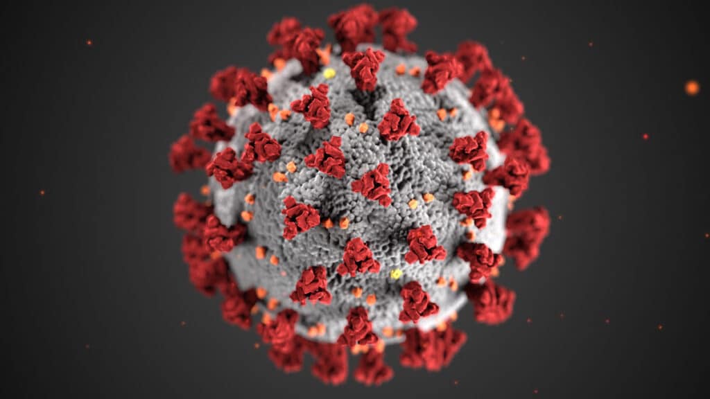 coronavirus up close